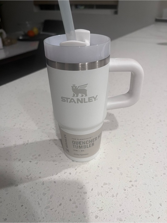 Stanley Other - Stanley White Insulated Travelu Mug with Handle 20oz mini white frost